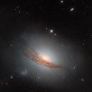 TEAM WILD WOLF 이미지