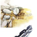 영원한미소&황금박쥐미술만화학원