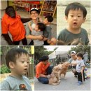 멍멍이와 야옹이 나들이 이미지