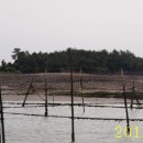 산410도 Daum백과