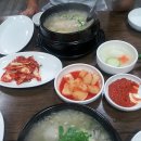 최가네영양탕