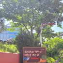 산림문화체험관 | [충남 여행] 청양 목재문화 자연사체험관 방문후기