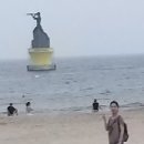 동규농장 Daum카페