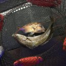 인천 락 실내바다낚시터 이미지