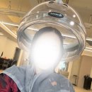 MODE:MI 헤어살롱 | 철산역 미용실 미봉헤어 커트 염색 클리닉 후기