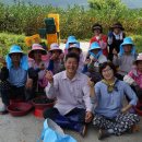 이창농장 이미지