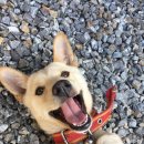 곰들산장 이미지