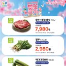 전북할인마트