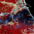 벌채지역 이미지