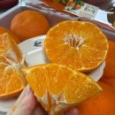 태현농장 이미지