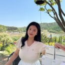 바인허브 다이어트환 내돈내산 후기 디톡스환 공구