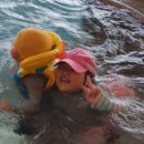 연세 성원 태권도 이미지