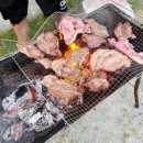 지니비치향 이미지