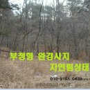 여주-0506 네이버블로그