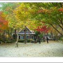 소리산캠핑 이미지