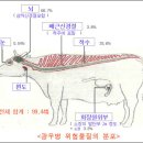 광우병에 들어있는 SRM이란? 이미지
