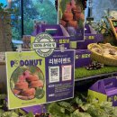 바르바커피 | [대부도카페] 바르바커피 타워360 내돈내산 방문 후기(이벤트, 와이파이, 편의시설 등 정리)