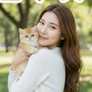 강아지분양 고양이분양 컴투펫 원주점 이미지