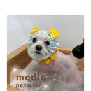 모들펫살롱 이미지