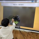 쓱싹쓱싹 이미지