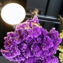 커피183(COFFEE183) 이미지