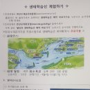 아름다움을탐하다 이미지