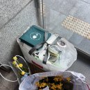 숲체국