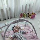슈테른탈러 이미지