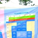 수채아트북 | 2025 광안리 해변도서전 바닷바람이 부는 지역 축제