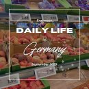 THE나이스태권도 | [ 🇩🇪 독일 교환학생 #02 ] 언제 정신 챙기고 살래? | 여름코스 | 베드버그 퇴치 | 필드트립 | 추석...