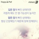 잠꾸러기 이미지