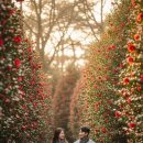 애월체육공원 | 제주도 12월 2박 3일 코스! 동백꽃 따라 겨울바람 불어도 좋아!