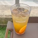 마소마레 | 오션뷰 거제카페 마소마레 솔직한 방문후기