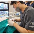 밝은결치과의원 | [밝은결치과의원]치아 건강과 전신 건강: 입속 청결의 중요성