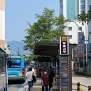 인촌 | 부산 도매약국 인촌약국 가성비 경옥고, 벤포벨s 방문 후기