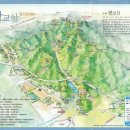 황*중 Daum카페