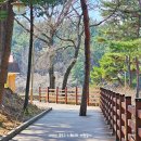 청남대 무장애나눔길조성 네이버블로그