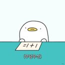🇨🇦 캐나다 D+ 103 - 112 도어즈오픈 | IT밋업 | 토론토에여름이 오나?
