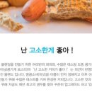 콩가게커피 이미지