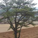 최종주동물병원 이미지