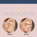 귀건강(이혈테라피) 이미지