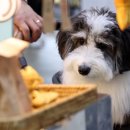 (주)경기사료 이미지