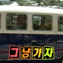 베럴댄유