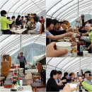 참다운농장 이미지