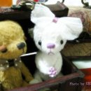 테디베어 이미지