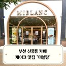 (주)선한식품 | 부천 신중동 카페 추천 딸기케이크 맛집 미블랑케이크