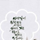 미나리가스 이미지