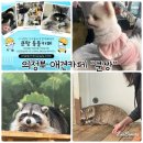 쿤짱 | 의정부 애견카페 &#34;쿤짱&#34; 반려동물 없이도 입장가능한 카페