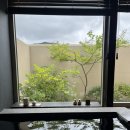 고결 문경 | 경북문경 한옥 감성 숙소 [고결]