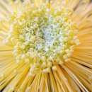 동래원예고등학교 이미지